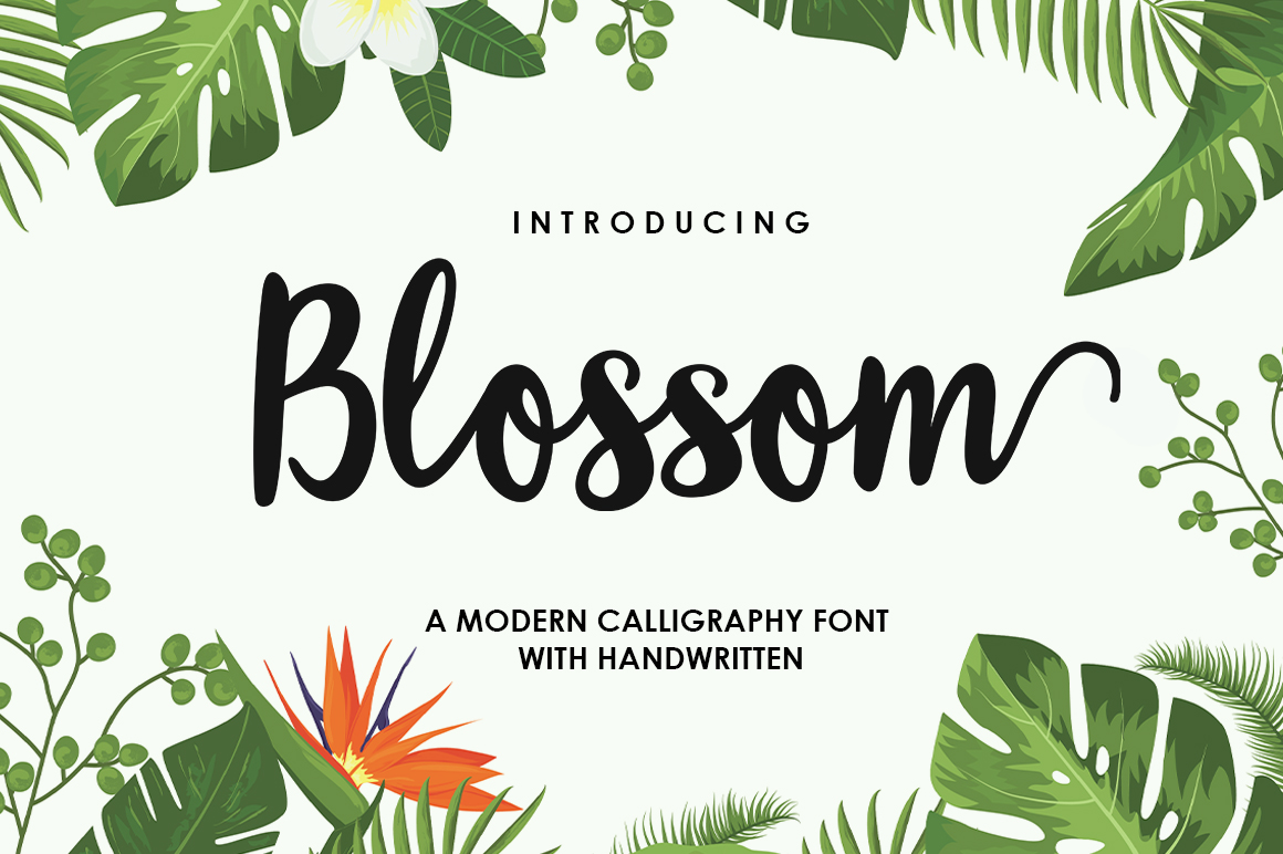 Blossom Script Font: A Modern Typeface for Creative Branding