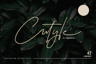 Cutyle Script: A Modern Typeface for Digital Design