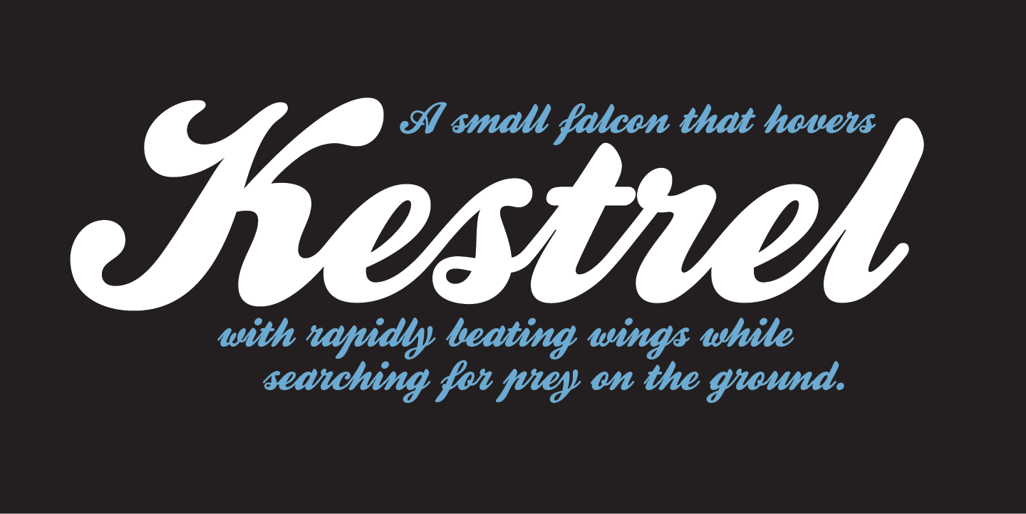 Kestrel Script Font: A Modern Typographic Asset for Marketers