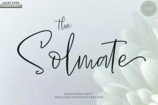 The Solmate Script: A Beautiful Typeface for Web Design