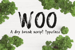 Woo Font Review: A Versatile Sans Serif for Modern Projects